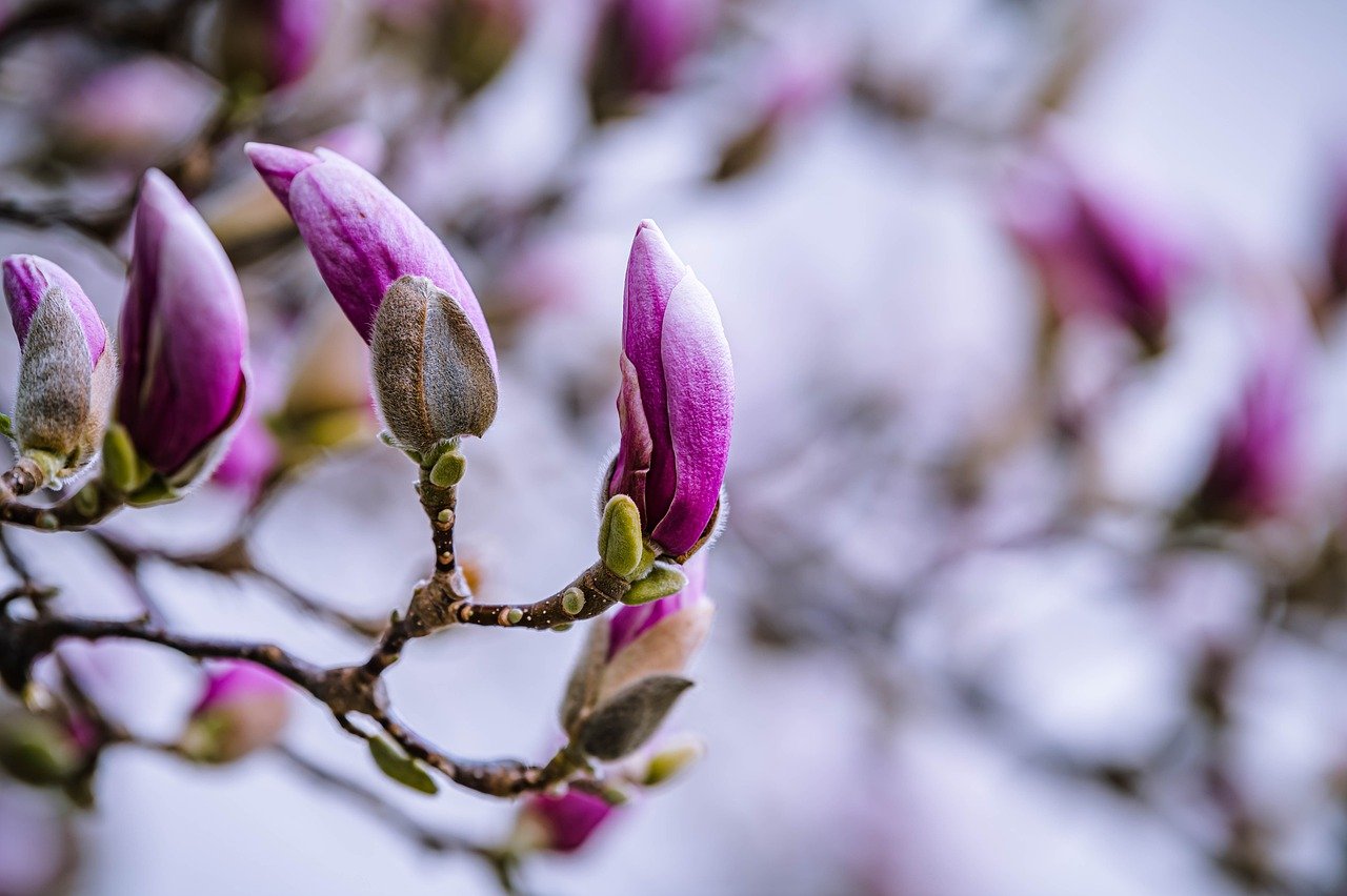 10 Easy Crafts to Celebrate Spring